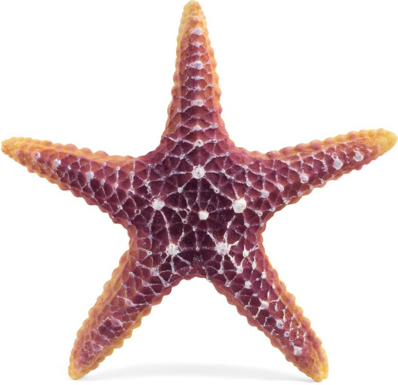 Звезда морская искусственная для аквариума LAGUNA 16х16х3 см (74004166) - Фото 2