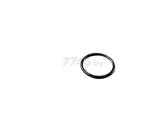Кольцо пружинное для перфоратора WORTEX RH2427X, RH2829X (Z1C-DS-24G-02)