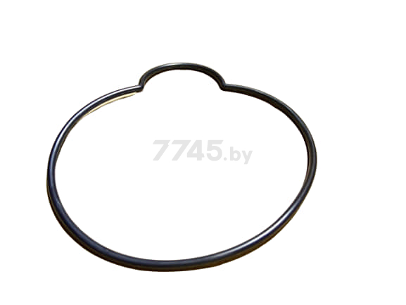 Кольцо уплотнительне для мойки высокого давления WORTEX PW1116, 1320 (LT304-1400D-MO-26)