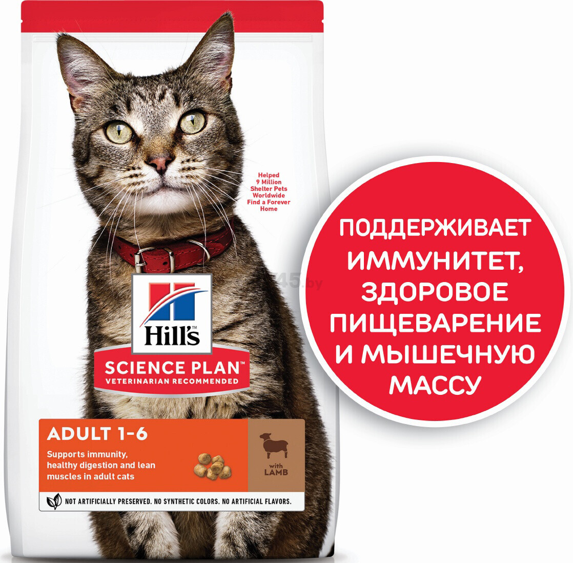 Сухой корм для кошек HILL'S Science Plan Adult ягненок 10 кг (52742024394) - Фото 2