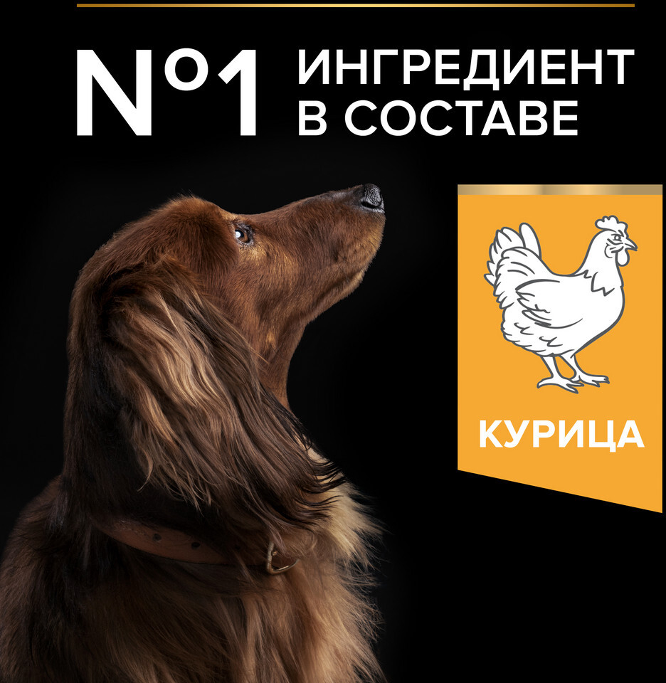 Сухой корм для собак PURINA PRO PLAN Small&Mini Adult курица с рисом 0,7 кг (7613035120778) - Фото 4