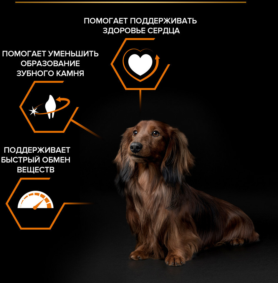 Сухой корм для собак PURINA PRO PLAN Small&Mini Adult курица с рисом 0,7 кг (7613035120778) - Фото 6