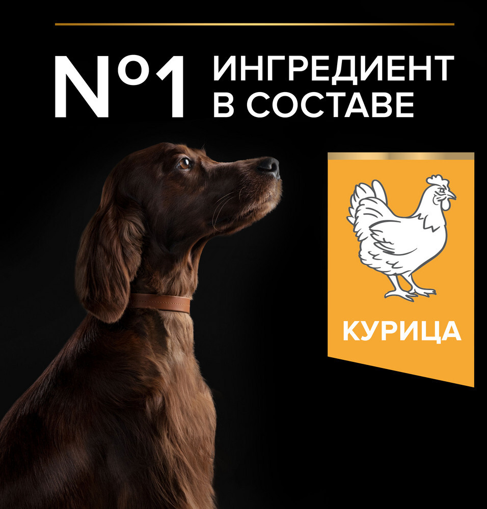 Сухой корм для собак PURINA PRO PLAN Large Adult Athletic курица с рисом 14 кг (7613035120440) - Фото 5