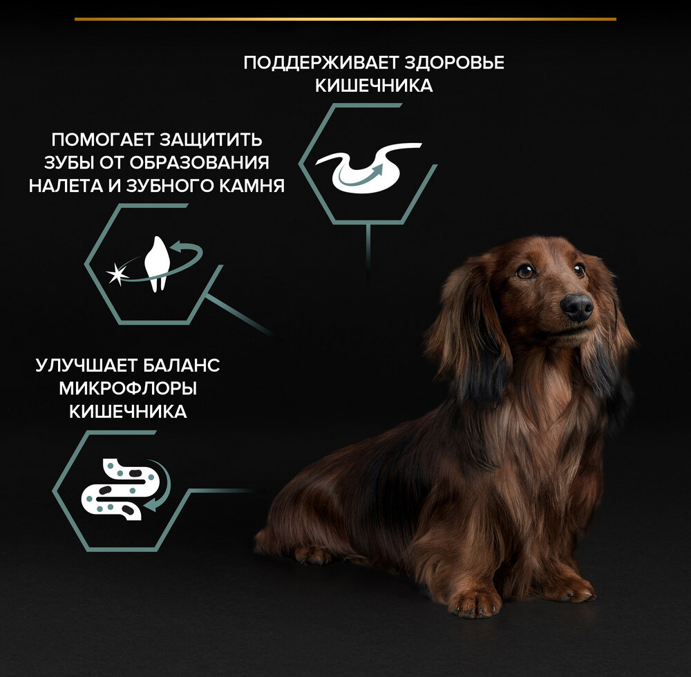 Сухой корм для собак PURINA PRO PLAN Small&Mini Adult Sensitive Digestion ягненок с рисом 0,7 кг (7613035214866) - Фото 6