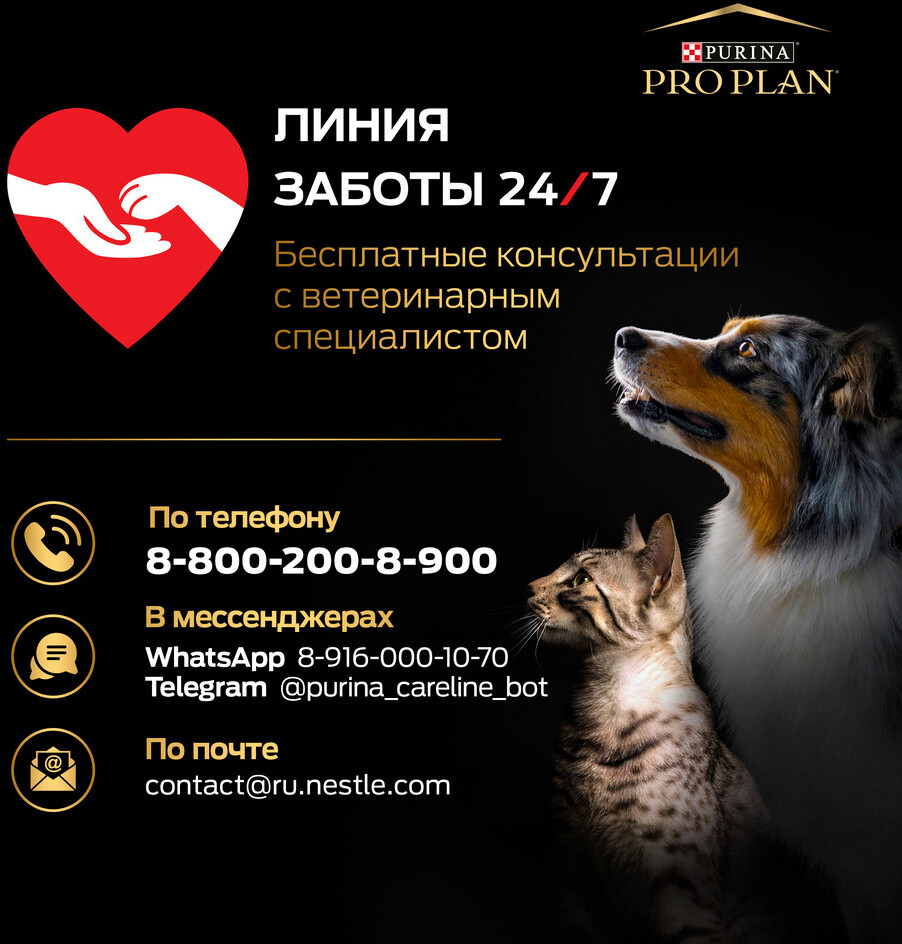 Сухой корм для собак PURINA PRO PLAN Small&Mini Adult Sensitive Skin лосось с рисом 0,7 кг (7613035120808) - Фото 11