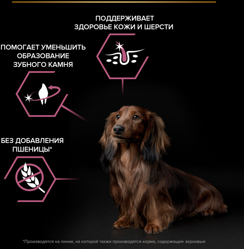 Сухой корм для собак PURINA PRO PLAN Small&Mini Adult Sensitive Skin лосось с рисом 0,7 кг (7613035120808) - Фото 5