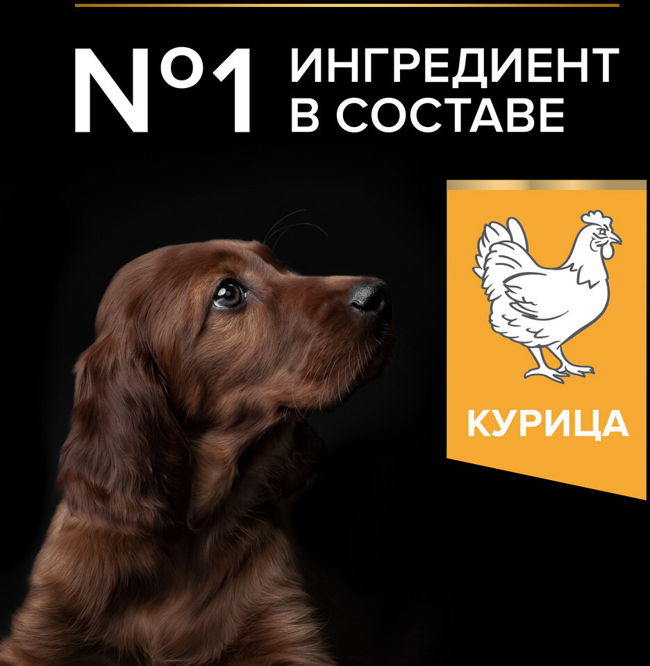 Сухой корм для щенков PURINA PRO PLAN Large Puppy Athletic курица с рисом 12 кг (7613035120365) - Фото 5