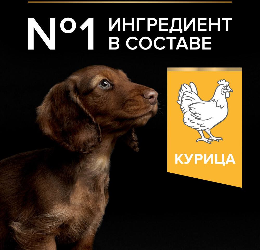 Сухой корм для щенков PURINA PRO PLAN Small&Mini Puppy курица 7 кг (7613035123366) - Фото 5