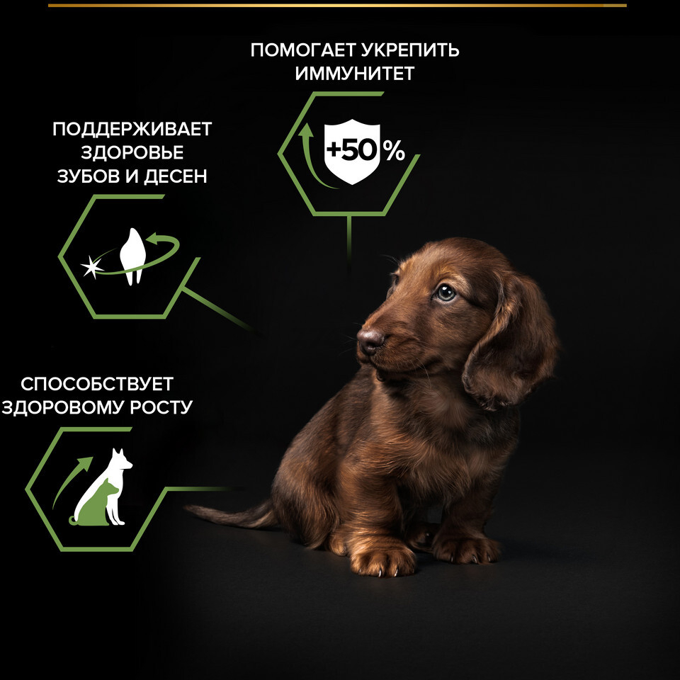 Сухой корм для щенков PURINA PRO PLAN Small&Mini Puppy курица 7 кг (7613035123366) - Фото 8