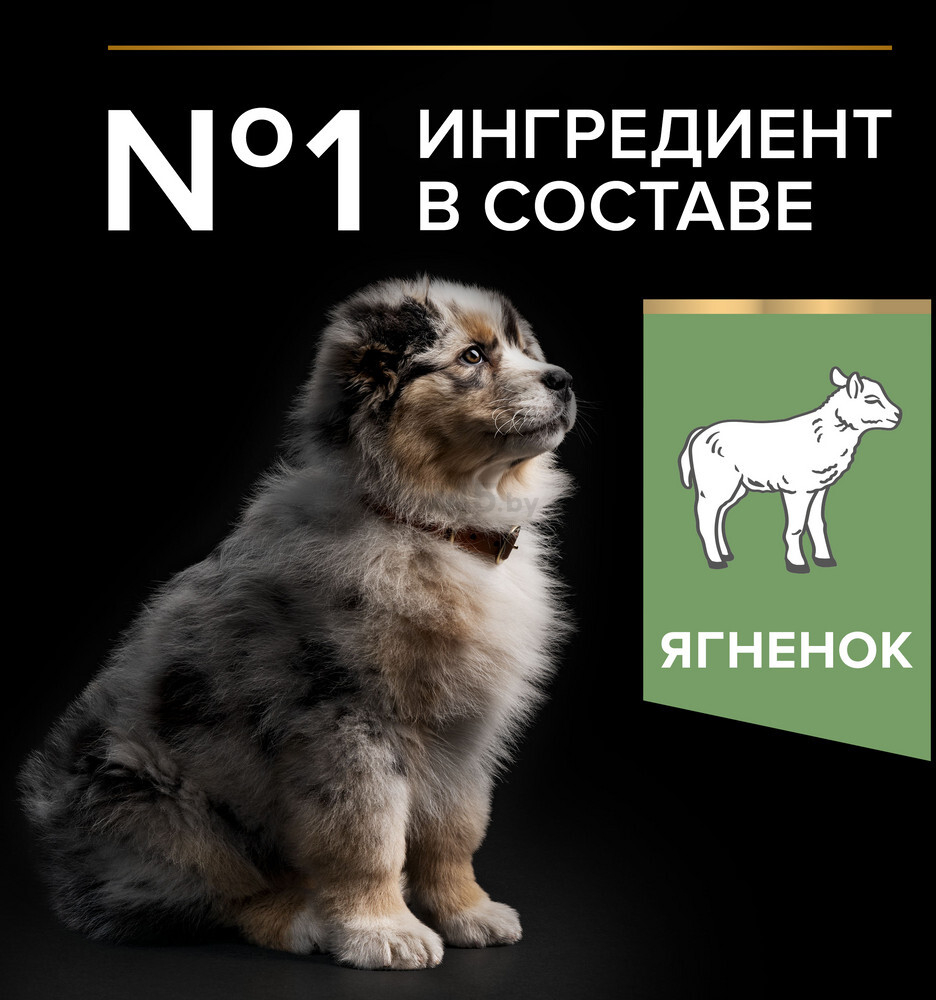 Сухой корм для щенков PURINA PRO PLAN Medium Puppy Sensitive Digestion ягненок с рисом 12 кг (7613035214767) - Фото 5