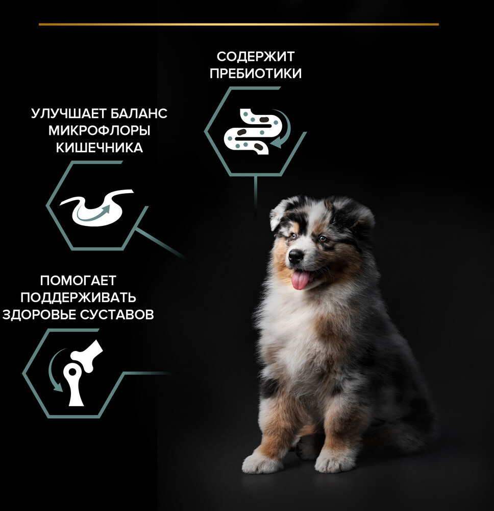 Сухой корм для щенков PURINA PRO PLAN Medium Puppy Sensitive Digestion ягненок с рисом 12 кг (7613035214767) - Фото 6