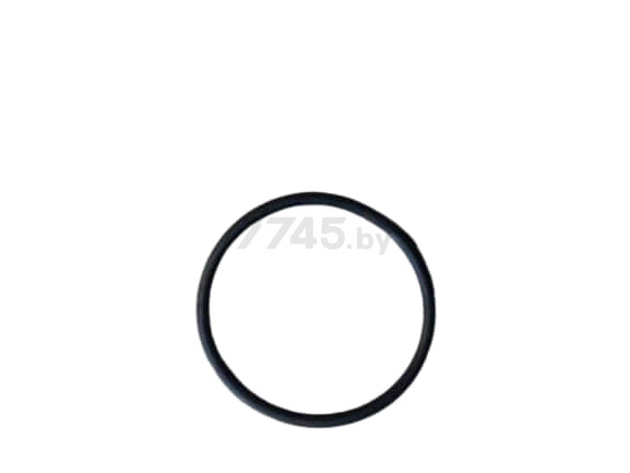Прокладка-кольцо для реноватора WORTEX SM2233E (86202-14)