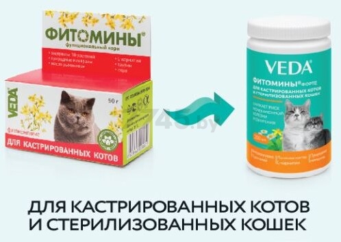 Фитомины форте для кастрированных котов и стерилизованных кошек VEDA 200 таблеток (4605543005831) - Фото 2