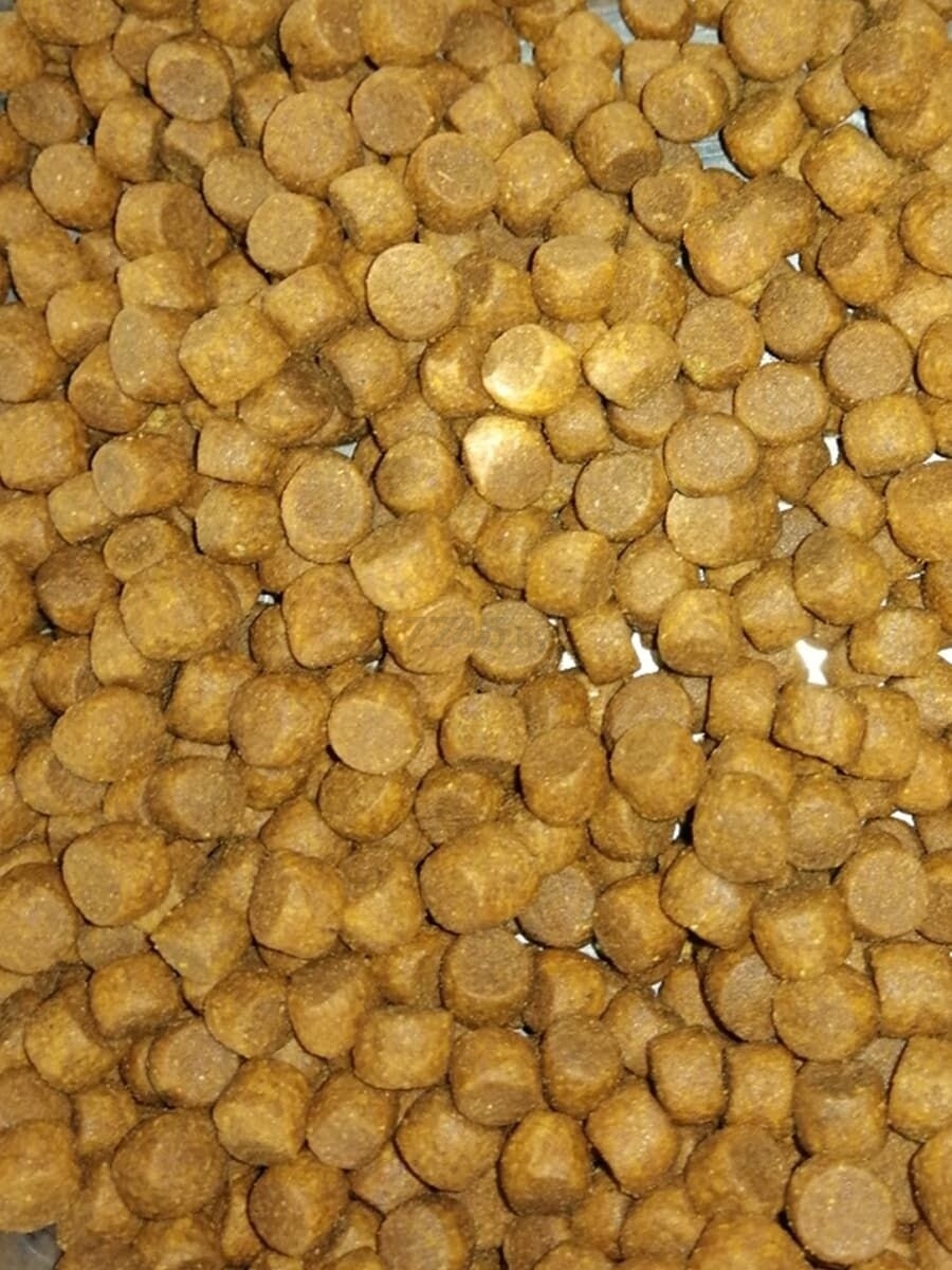 Сухой корм для щенков PROBALANCE Puppies Small&Medium 10 кг (4640011980524) - Фото 7