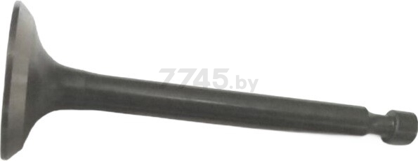 Клапан выпускной для газонокосилки ECO DV196 к LG-735 (305901-735)
