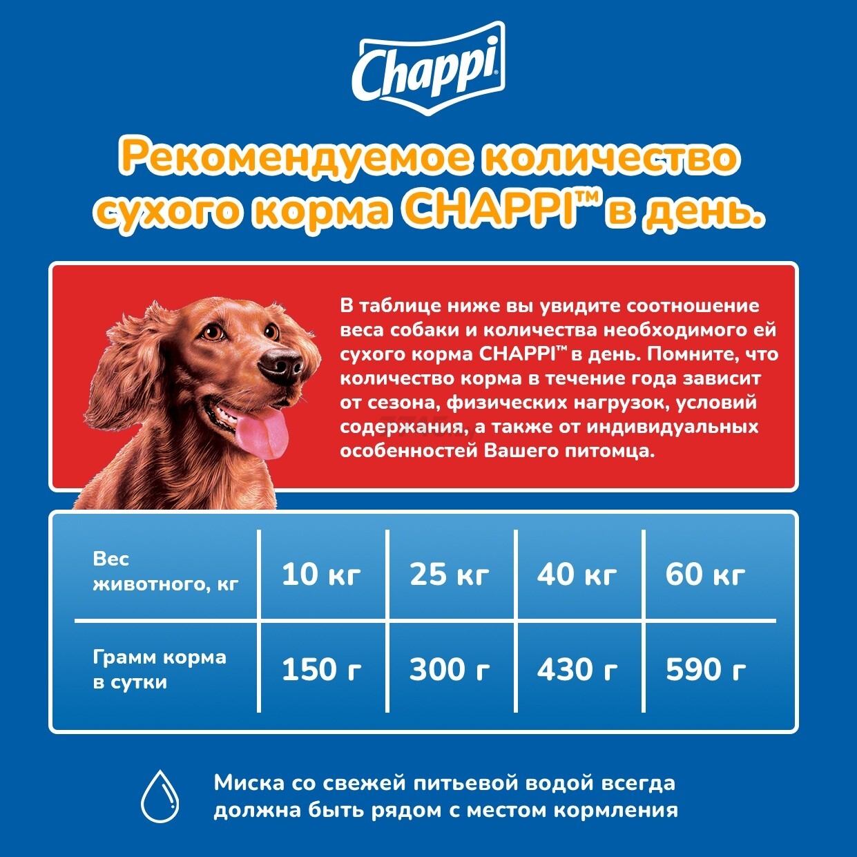Сухой корм для собак CHAPPI Сытный мясной обед Говядина по-домашнему 0,6 кг (5000159425476) - Фото 6