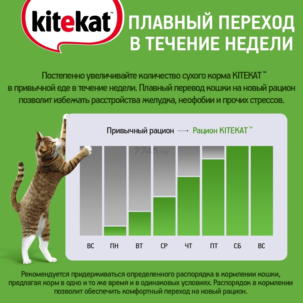Сухой корм для кошек KITEKAT Телятинка аппетитная 0,35 кг (4607065371227) - Фото 9