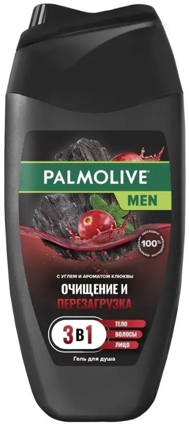 Гель для душа PALMOLIVE Men 4 в 1 Очищение и перезагрузка с углем и ароматом клюквы 250 мл (8718951323605)