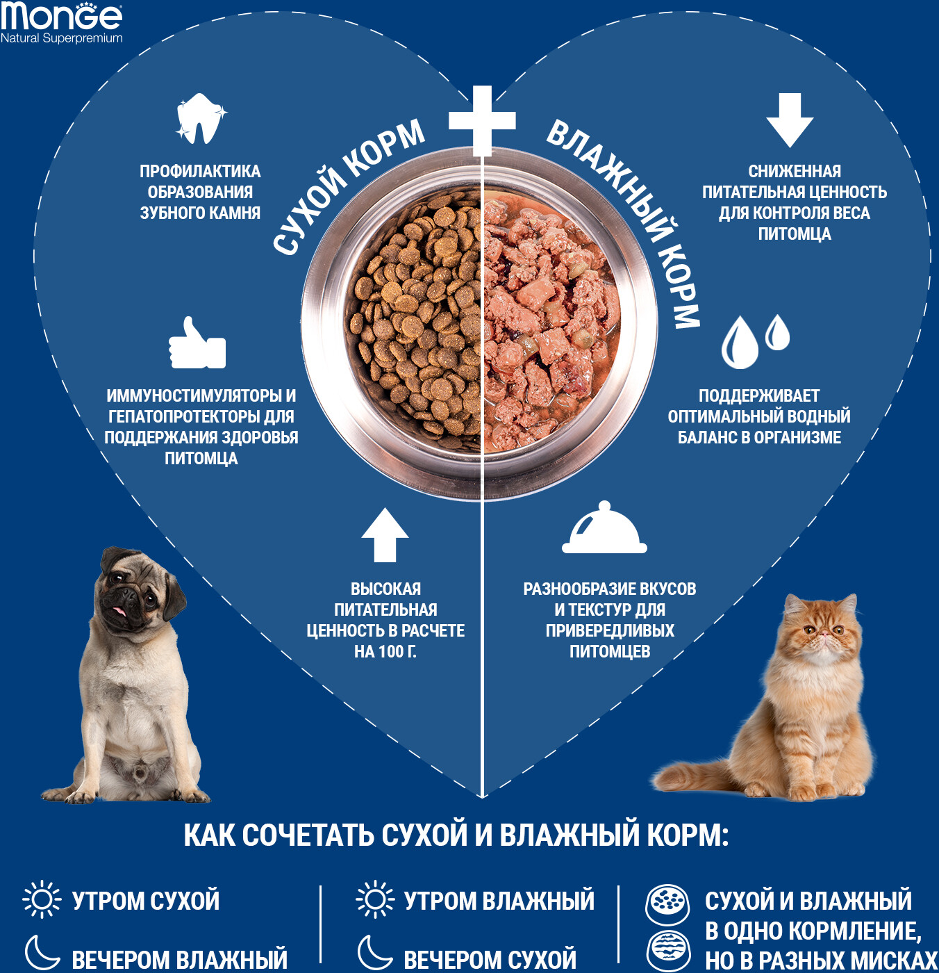 Сухой корм для кошек MONGE Monoprotein Adult кролик 10 кг (8009470056274) - Фото 4