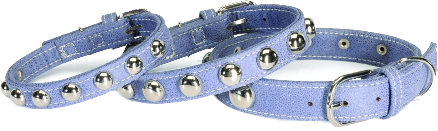 Ошейник для собак CAMON Экокожа c заклепками 30 мм 60 см голубой (DC501/C) - Фото 2