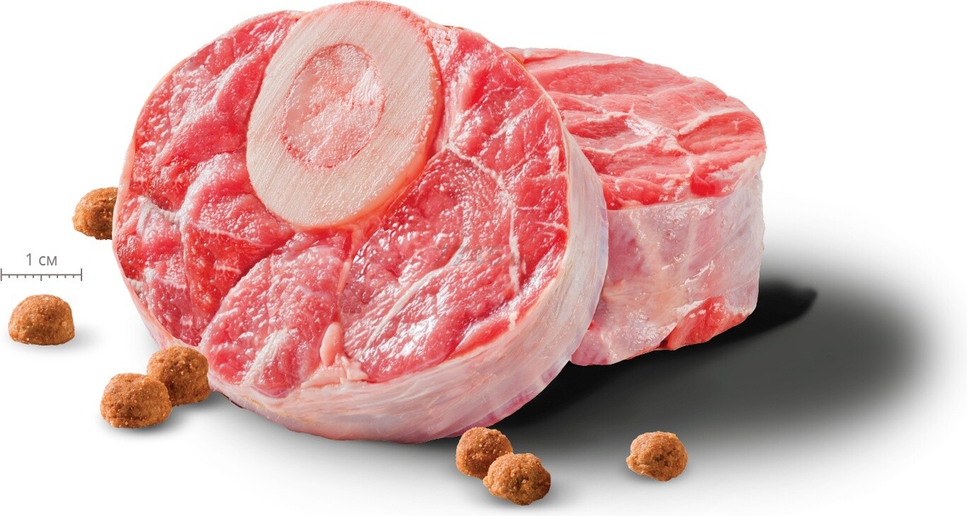 Сухой корм для мелких собак МИРАТОРГ Winner Meat с нежной телятиной 0,5 кг (1010022541) - Фото 5