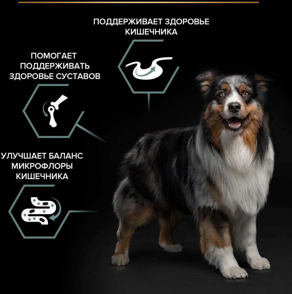 Сухой корм для собак PURINA PRO PLAN Medium Adult Sensitive Digestion ягненок с рисом 7 кг (7613035228153) - Фото 6