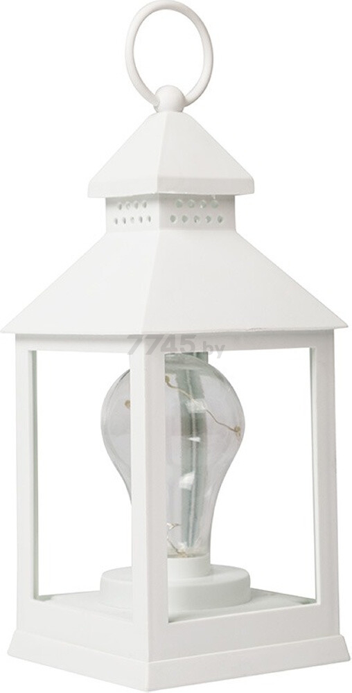 Ночник декоративный светодиодный NEON-NIGHT Фонарь с лампочкой белый (513-052) - Фото 8