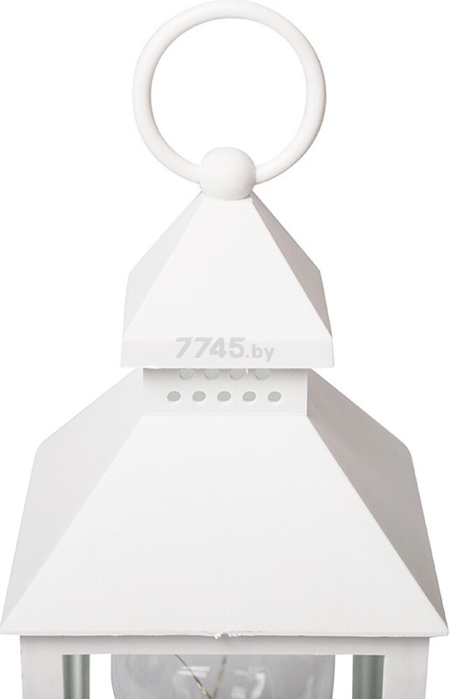 Ночник декоративный светодиодный NEON-NIGHT Фонарь с лампочкой белый (513-052) - Фото 10