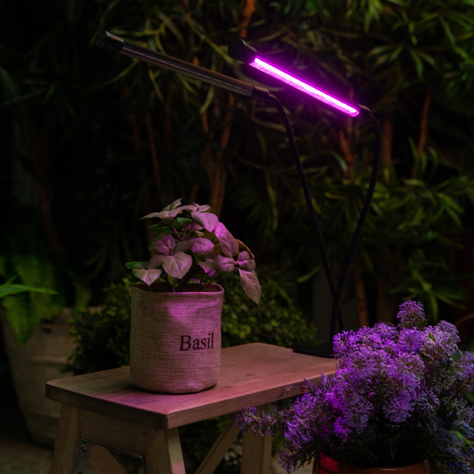 Светильник настольный для растений красно-синего спектра UNIEL ULT-P33 15 Вт (UL-00004735) - Фото 15