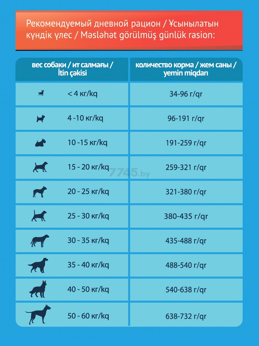 Сухой корм для собак PROХВОСТ мясное ассорти 0,5 кг (4640011980296) - Фото 2