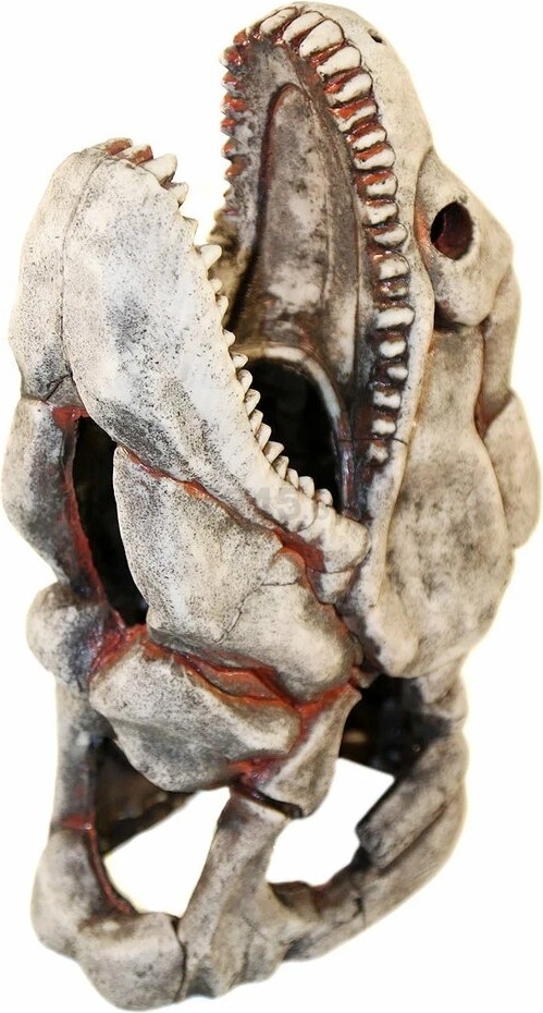 Декорация для аквариума DEKSI Скелет рыбы №905 24х14х38 см (905d) - Фото 6