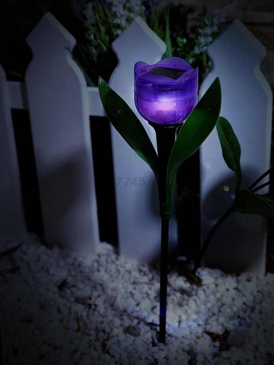 Светильник садовый на солнечной батарее UNIEL Purple tulip (UL-00004278) - Фото 4
