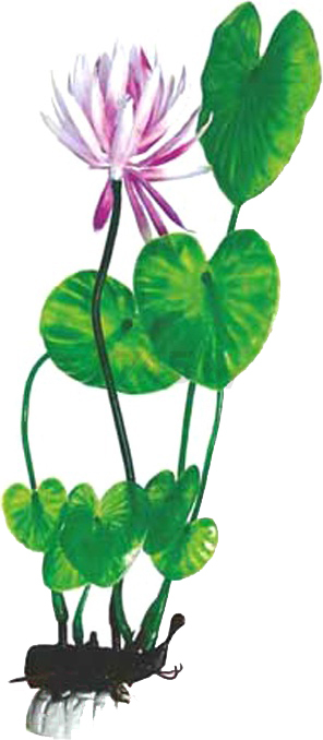 Растение искусственное для аквариума BARBUS Лилия зеленая с цветком 50 см (Plant 013/50)