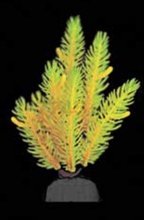 Растение искусственное для аквариума BARBUS Светящееся в темноте 10 см (Plant 058 DARK/10) - Фото 2