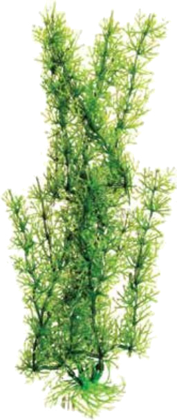 Растение искусственное для аквариума BARBUS Яванский мох зеленый 20 см (Plant 024/20)