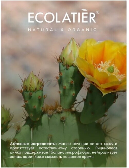 Дезодорант-крем ECOLATIER Organic Cactus Гладкость и Красота 40 мл (4620046172866) - Фото 4