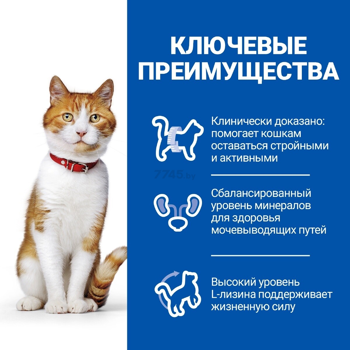 Сухой корм для стерилизованных кошек HILL'S Science Plan Sterilised Cat Adult утка 1,5 кг (52742035970) - Фото 6