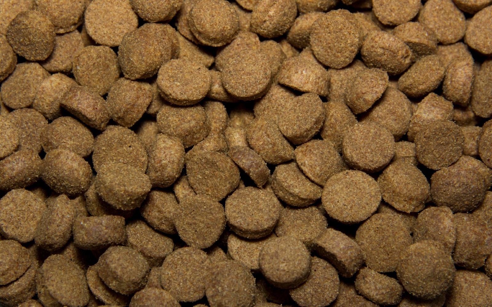 Сухой корм для собак TASTY ягненок 2,2 кг (4607004708602) - Фото 2