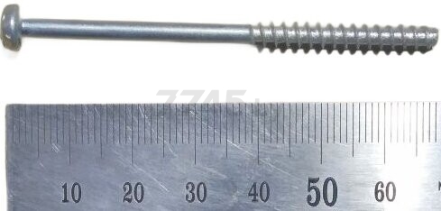 Винт крепления статора для высечных ножниц WORTEX NB1655 (1501012145)