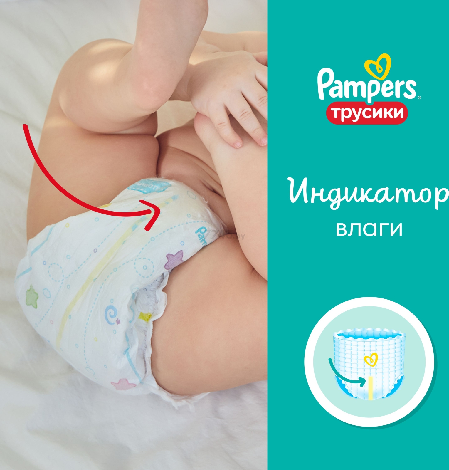 Подгузники-трусики PAMPERS Pants 7 Extra Large Plus от 17 кг 34 штуки (8006540508749) - Фото 8