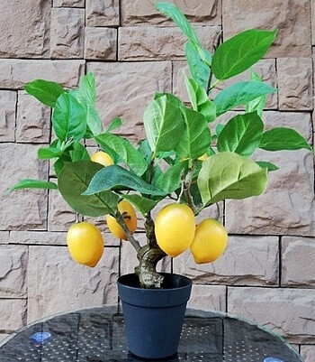 Искусственное растение FORGARDEN Лимон Lemon tree 55 см (FGN_BF00575)