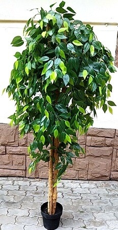 Искусственное растение FORGARDEN Фикус Ficus benjamin baft tree 180 см (FGN_BF00568) - Фото 2