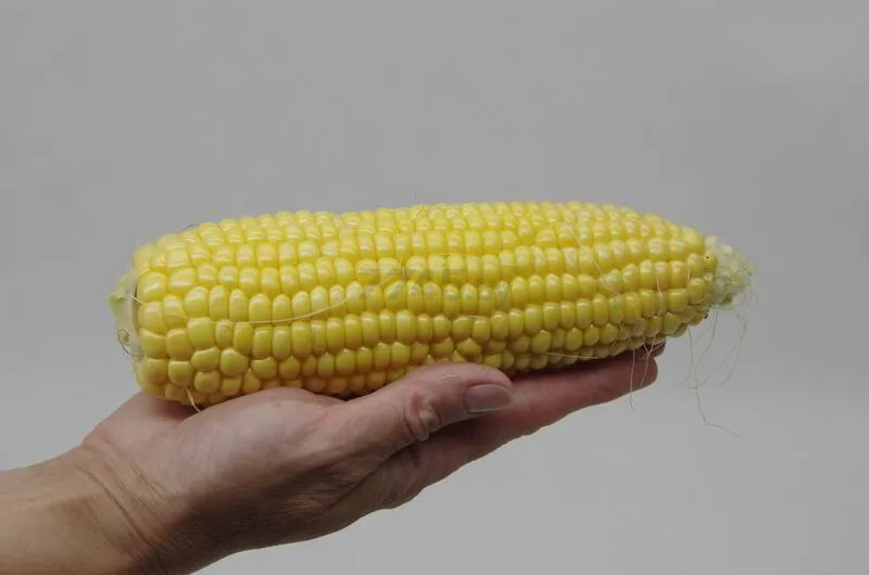 Семена сахарной кукурузы Спирит F1 АГРОФИРМА ПАРТНЕР 3 г (4600707501969) - Фото 3