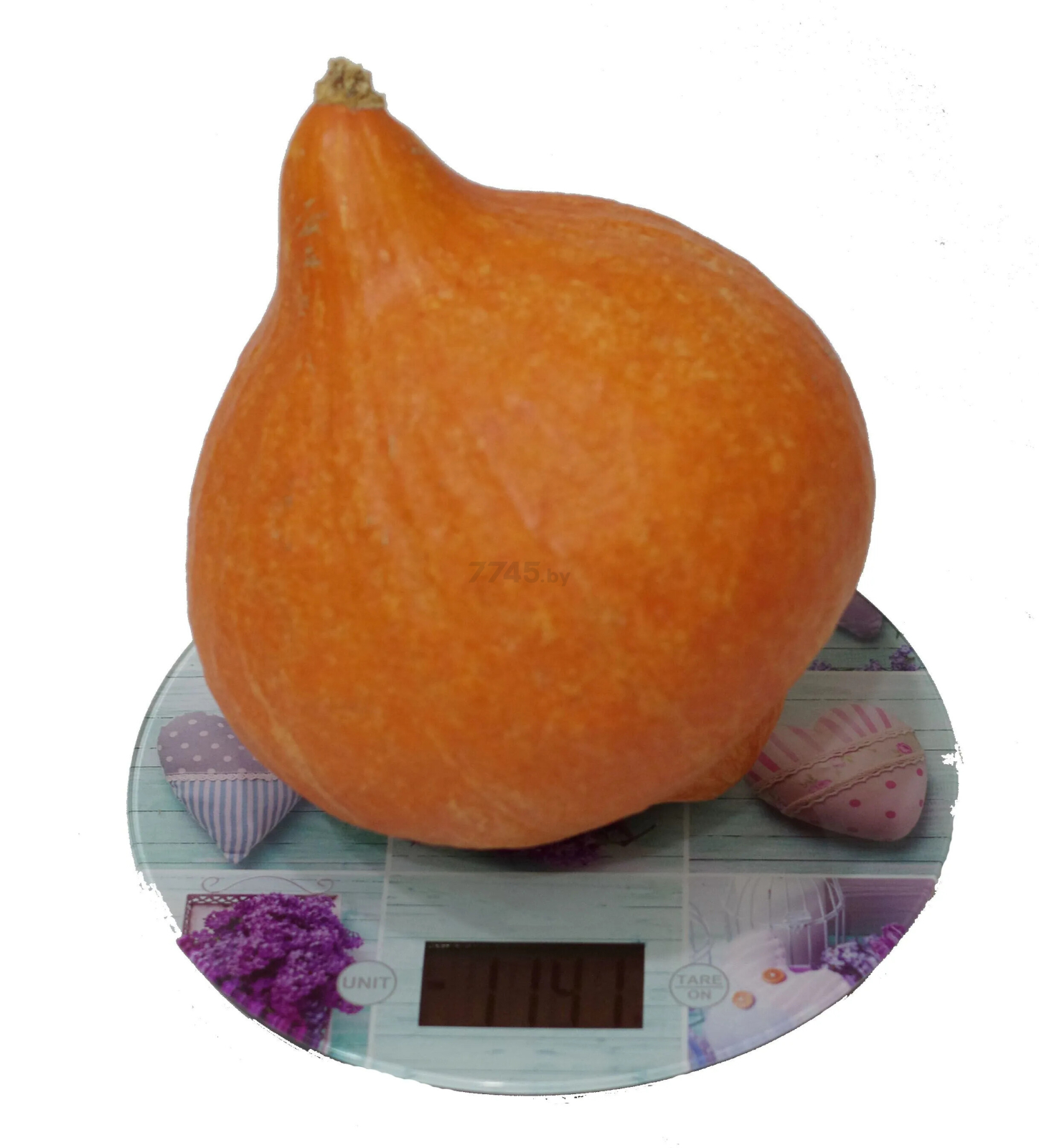 Семена тыквы Оранж саммер F1 АГРОФИРМА ПАРТНЕР 3 штуки (4600707501525) - Фото 4