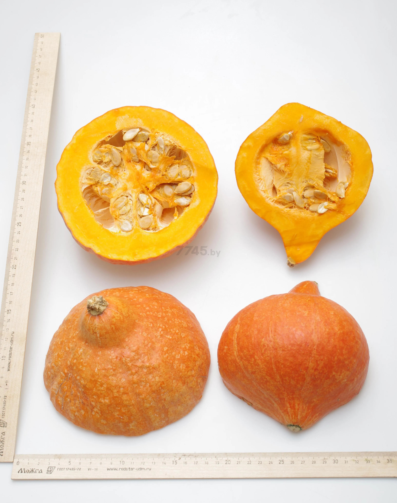 Семена тыквы Оранж саммер F1 АГРОФИРМА ПАРТНЕР 3 штуки (4600707501525) - Фото 3