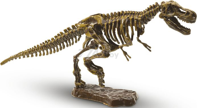 Игровой набор SES CREATIVE Explore Раскопать и собрать тираннозавра (25028) - Фото 2
