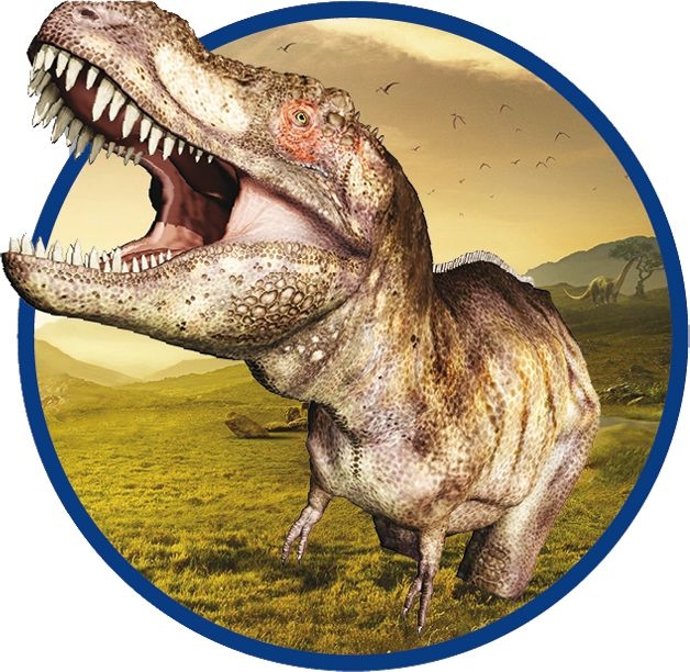 Игровой набор SES CREATIVE Explore Раскопать и собрать тираннозавра (25028) - Фото 3