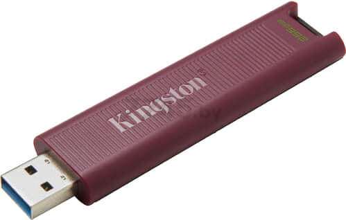 USB-флешка 256GB KINGSTON DataTraveler Max Type-A (DTMAXA/256GB) - Фото 4