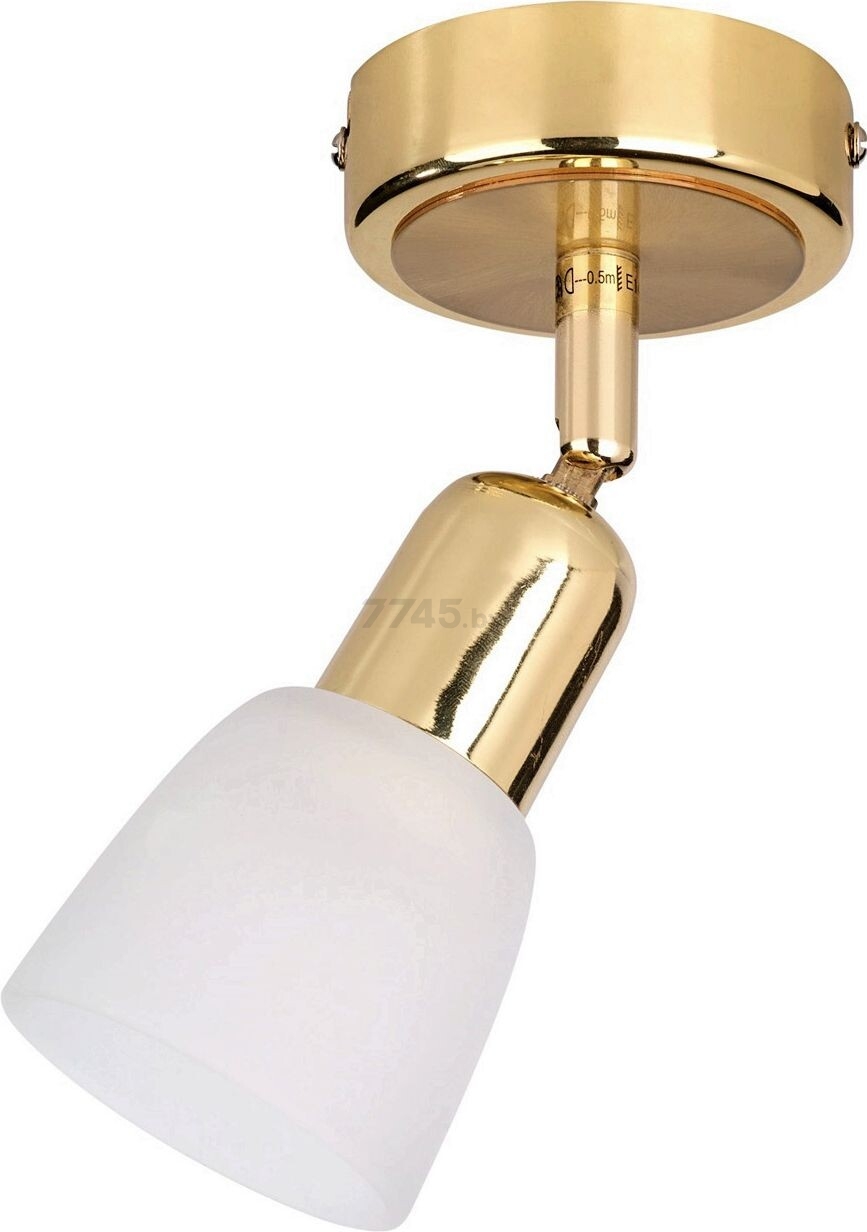 Светильник точечный накладной ESCADA 5039/1PA золотой/белый