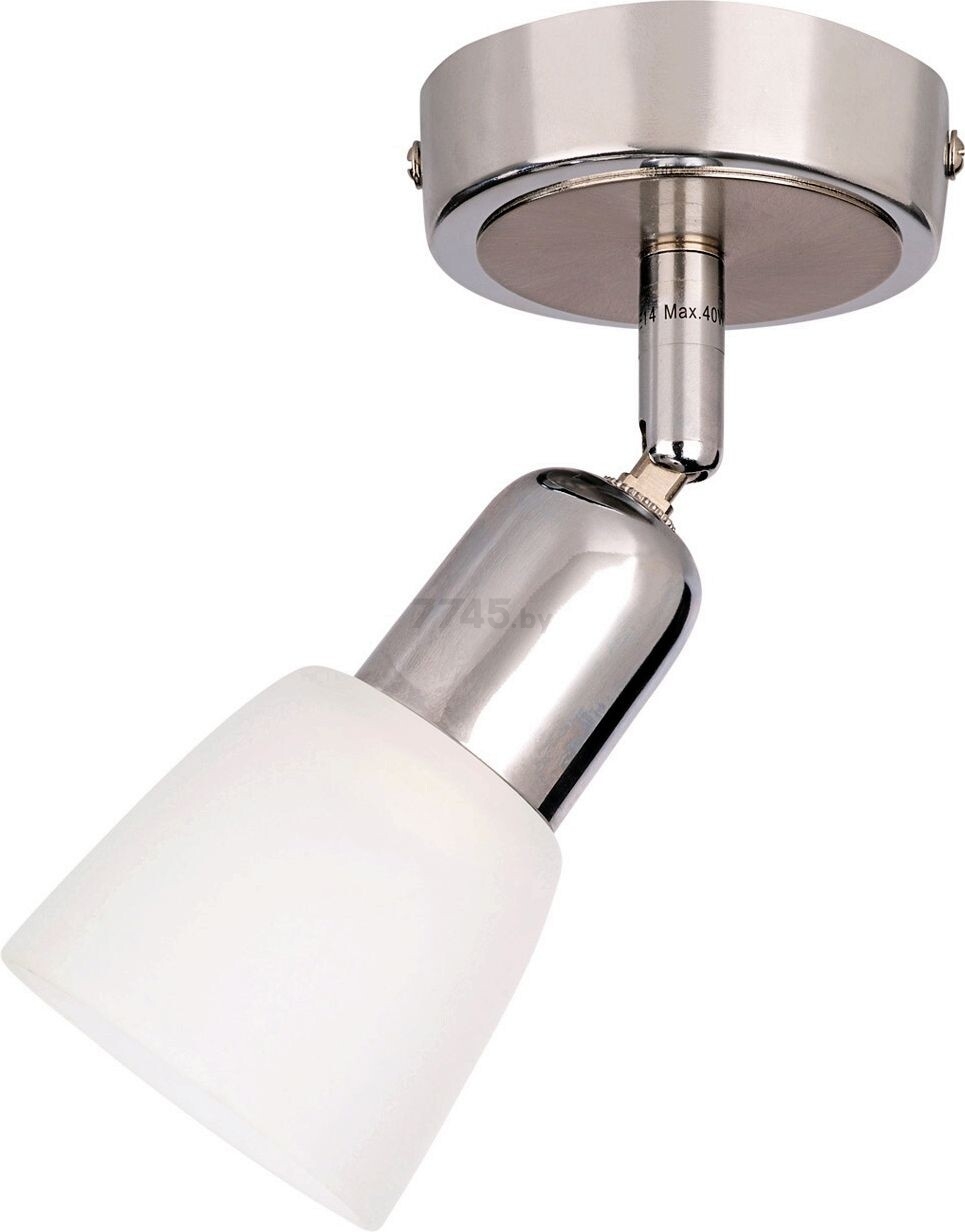Светильник точечный накладной ESCADA 5038/1PA хром/белый